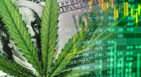 top marijuana stocks