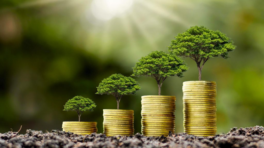 growth stocks