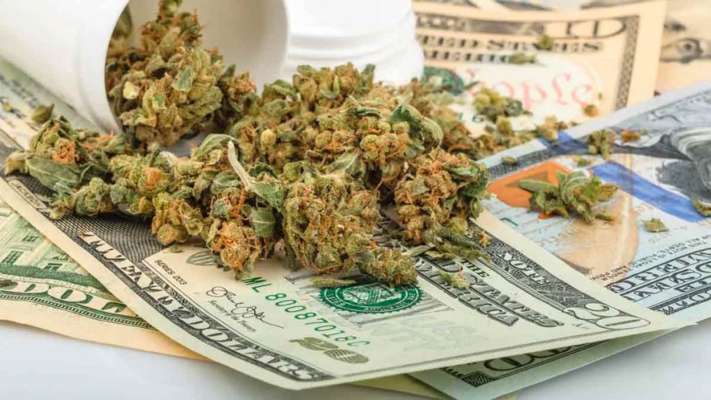 marijuana stocks