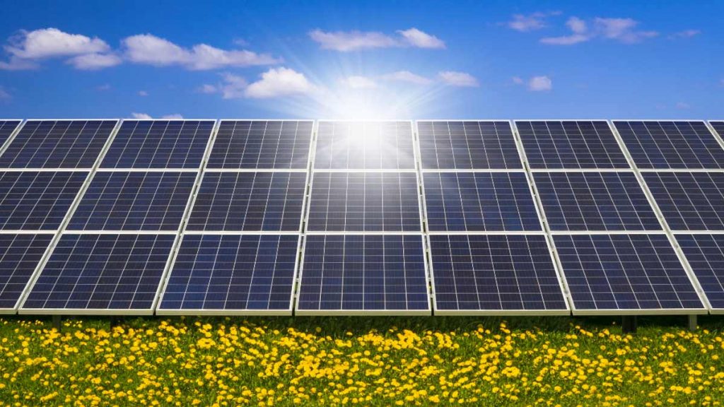 renewable energy stocks