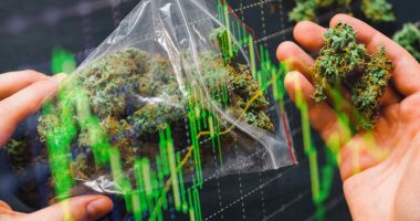 cannabis stocks