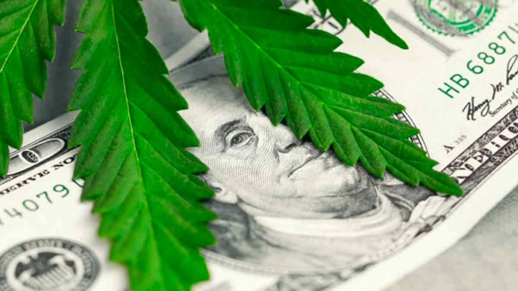 marijuana stocks
