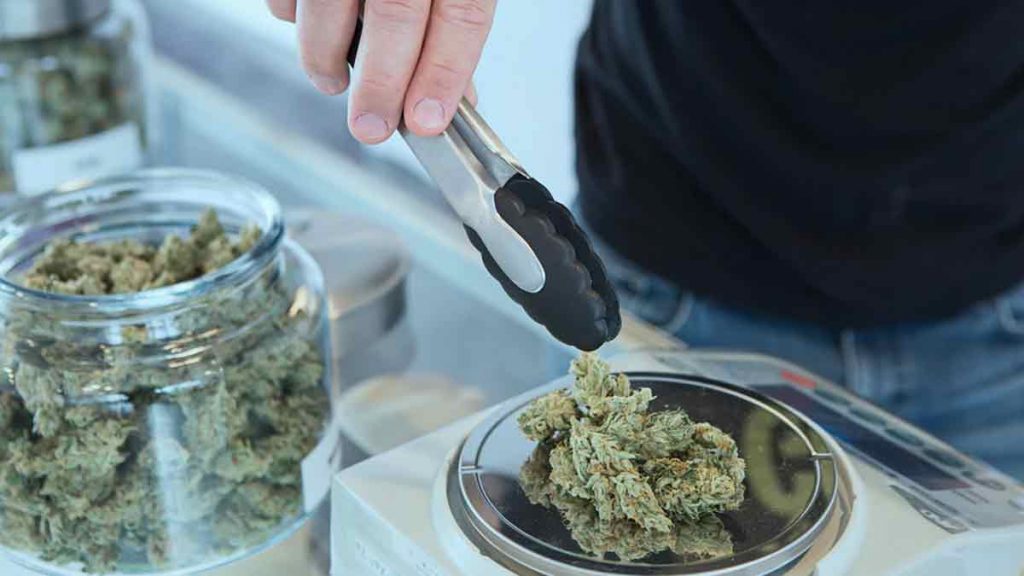 best marijuana stocks in 2021