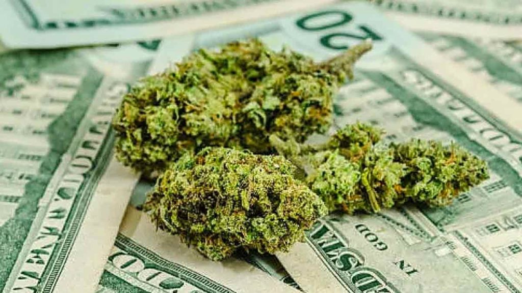 marijuana stocks