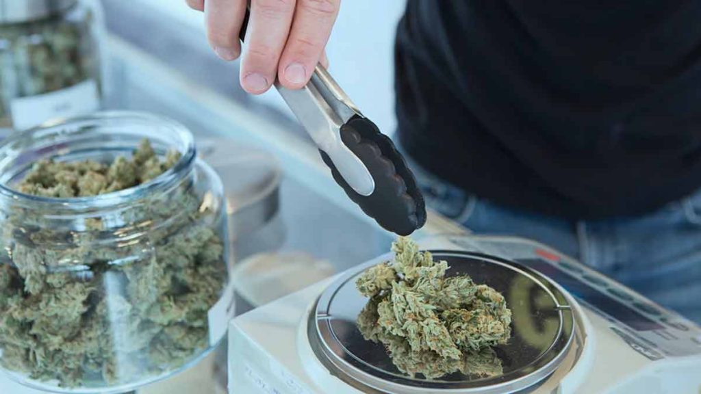 best stocks to invest in right now (weed stocks)