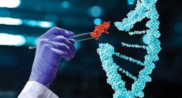 what stocks to invest in 2021 (gene editing stocks)