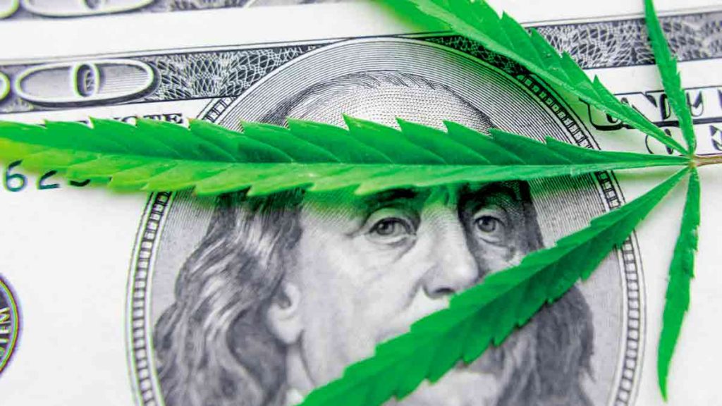 marijuana stocks