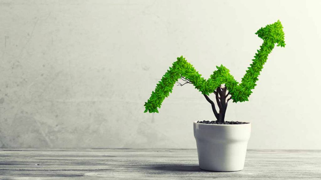 dividend stocks to buy