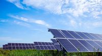 top solar stocks