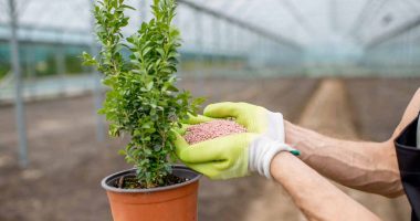 fertilizer stocks