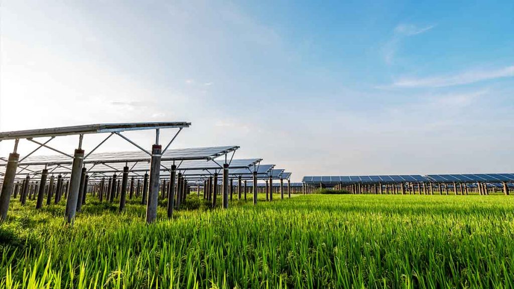 top stocks to buy now solar energy stocks