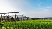 top stocks to buy now solar energy stocks