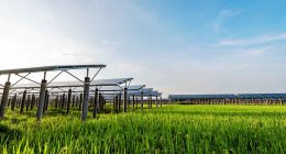 top stocks to buy now solar energy stocks