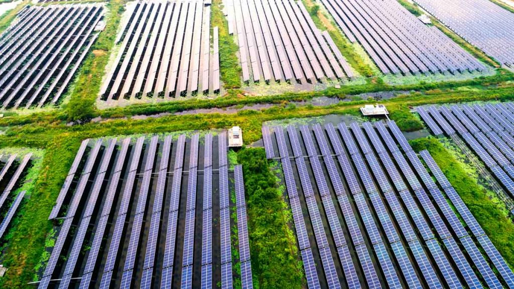 renewable energy stocks