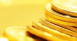 what stocks to invest in gold stocks