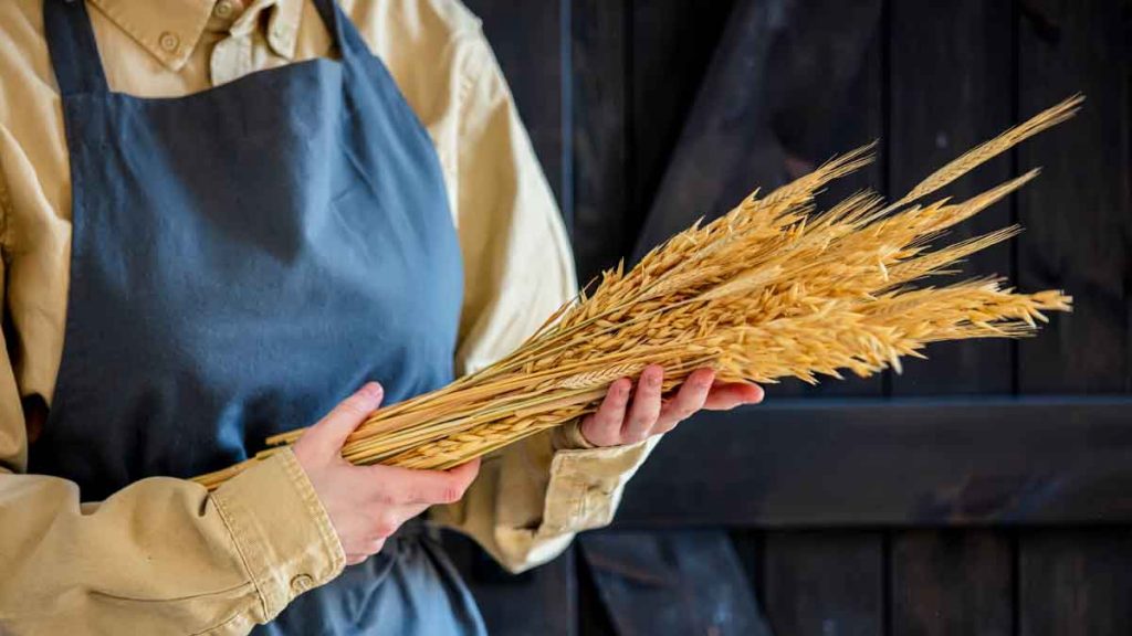best stocks to invest in 2023 wheat stocks