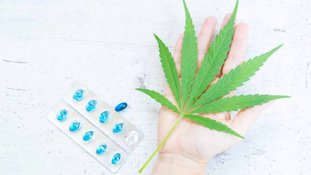 cheap stocks to buy now cannabis stocks