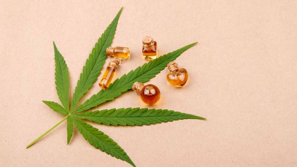 cannabis stocks
