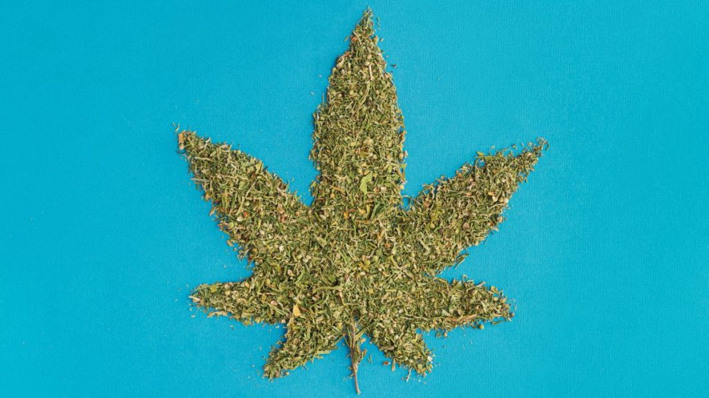 cannabis stocks